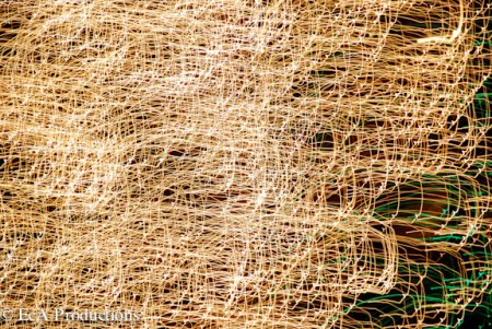 0912XmasLights_103DNG